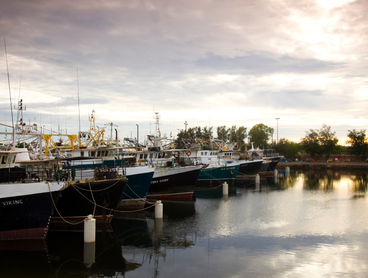 Darwin’s prawn and pearling fleet