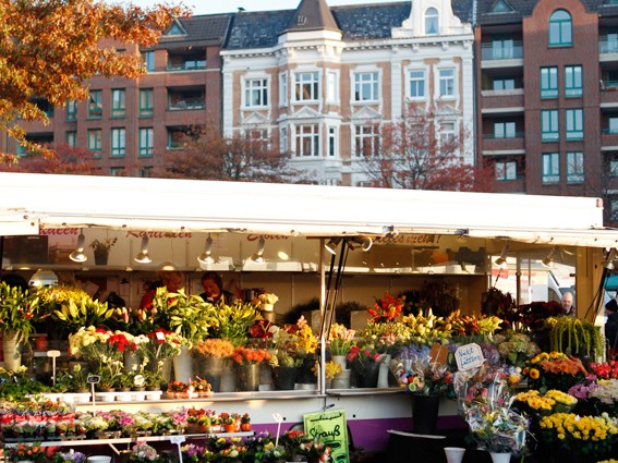 City: Hamburg