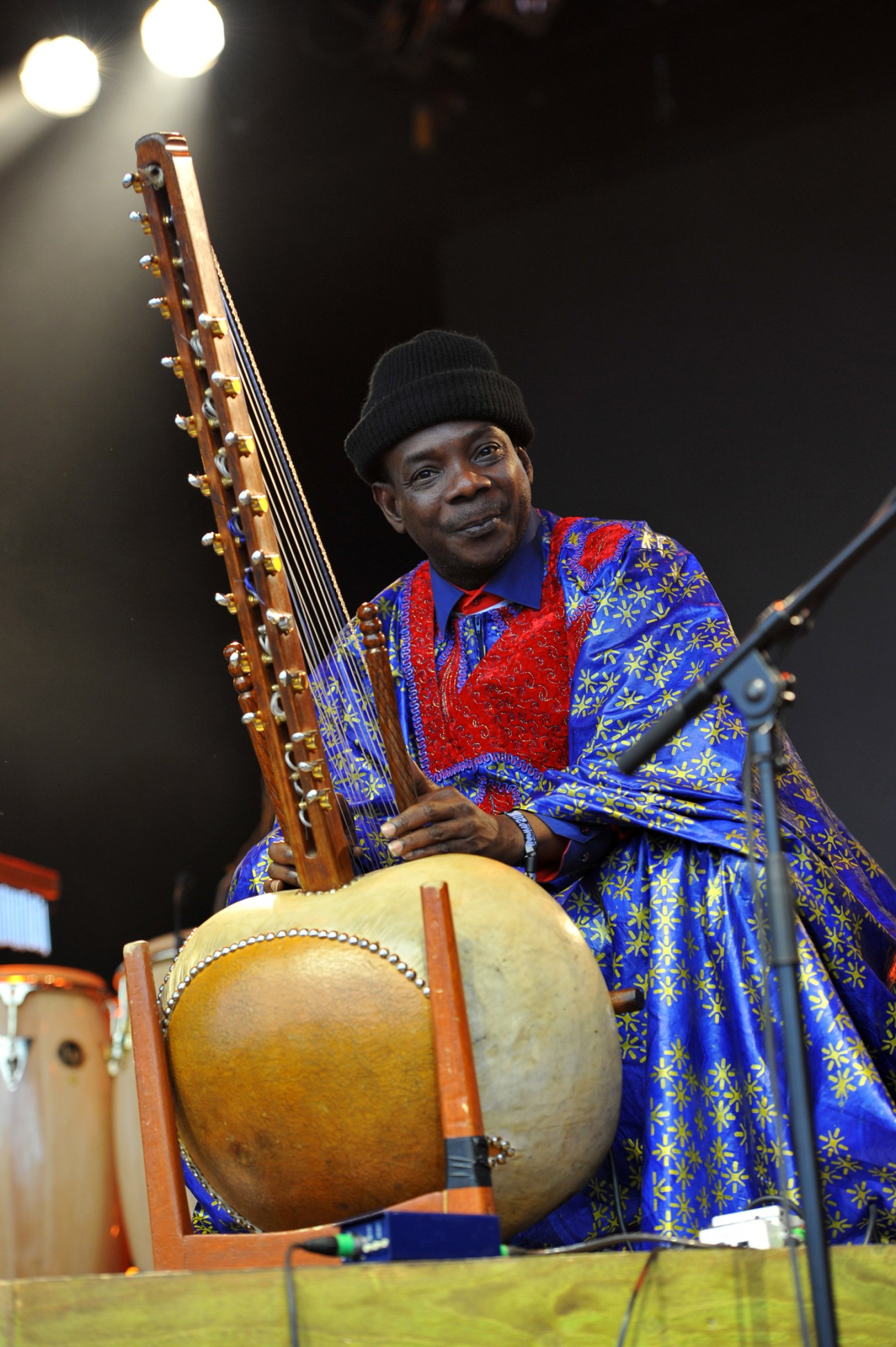 West African harp-cum-banjo