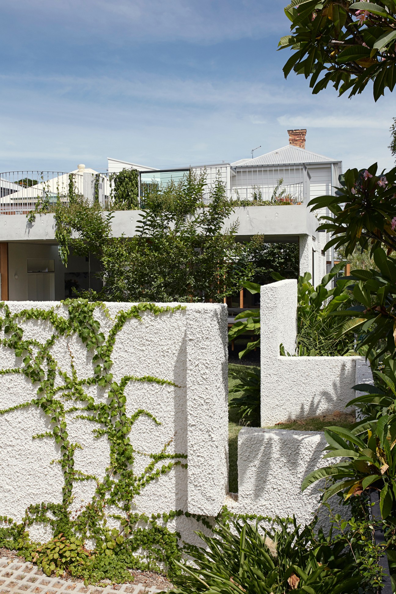 Vine-covered garden walls provide privacy from neighbouring houses