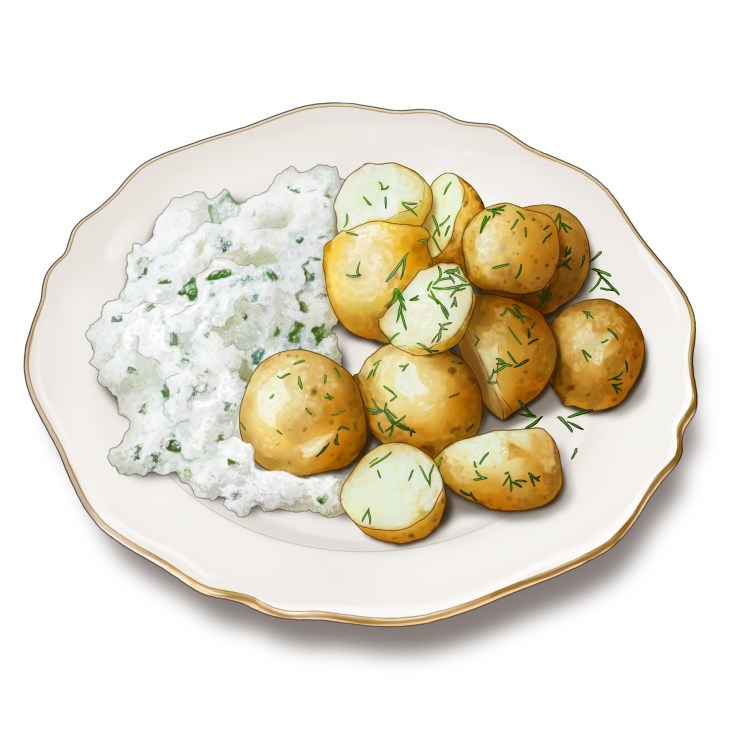 Illustration of gzik, a Polish cottage cheese dip with chives, served alongside boiled potatoes on a plate.