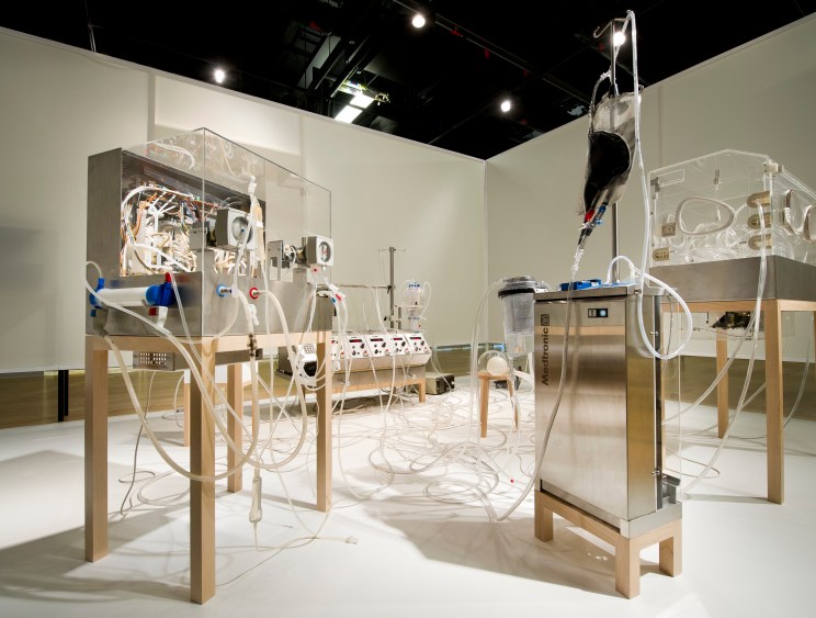 The Wellcome Collection, London
