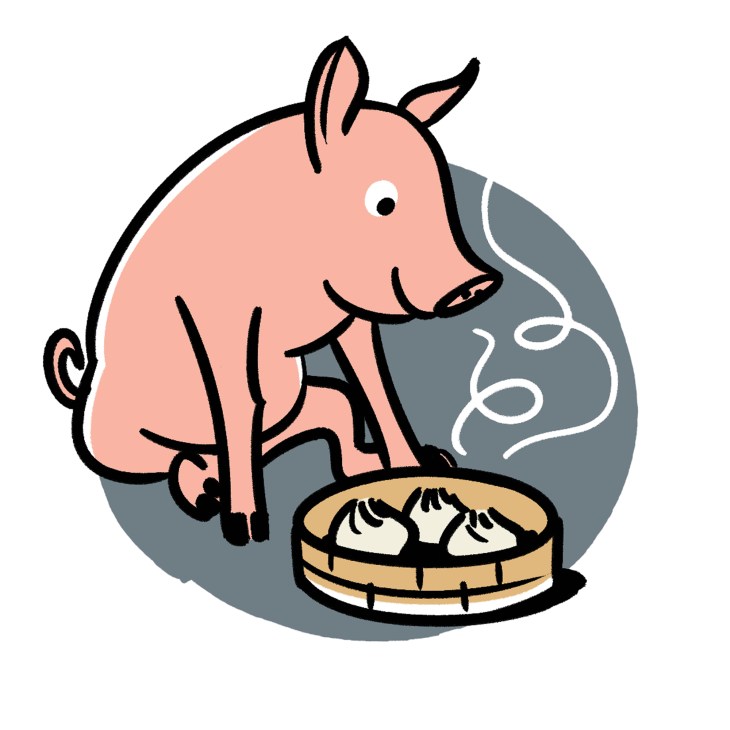 Cartoon pig sitting behind steaming dumplings in a bamboo steamer