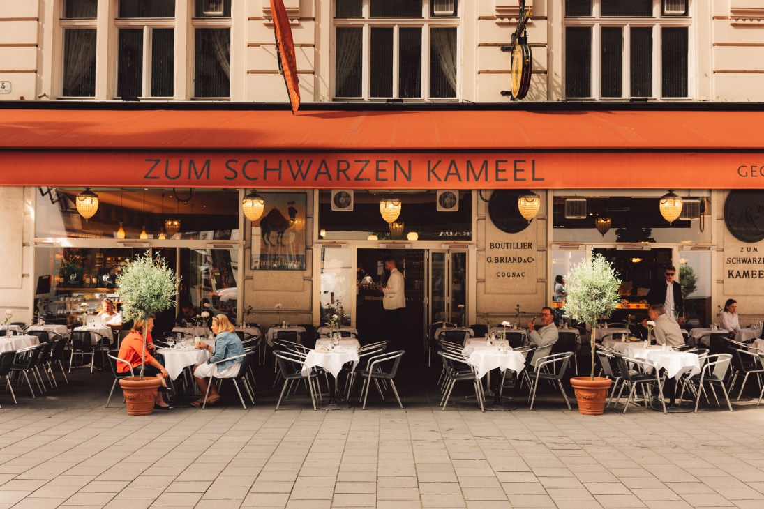 Vienna's baroque architecture showcasing the city's historic elegance