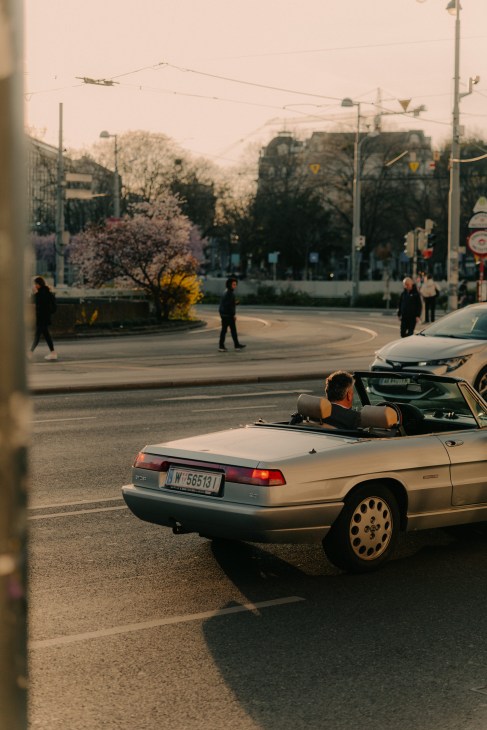 Viennese citizens enjoying public spaces and the city's natural beauty