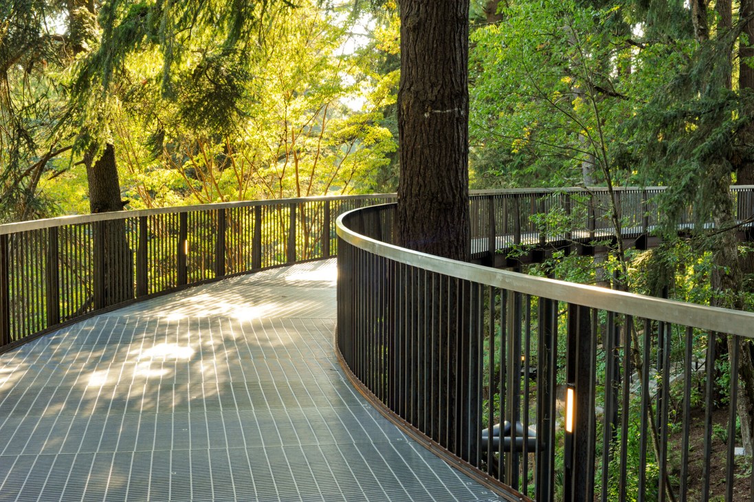 Bar-grate decking of tree walk providing views of forest floor from above