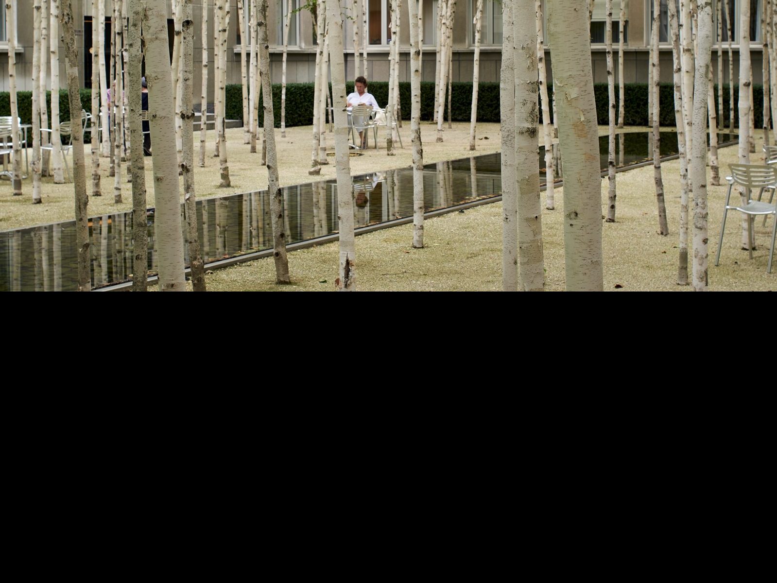 Novartis Basel Campus: Architecture Lessons for Business