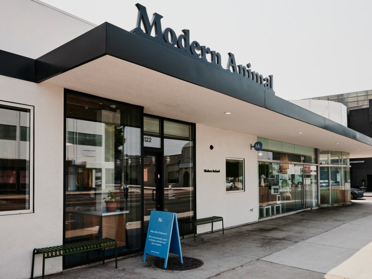Modern Animal veterinary clinic exterior with signage, glass windows, and modern architectural design in West Hollywood.