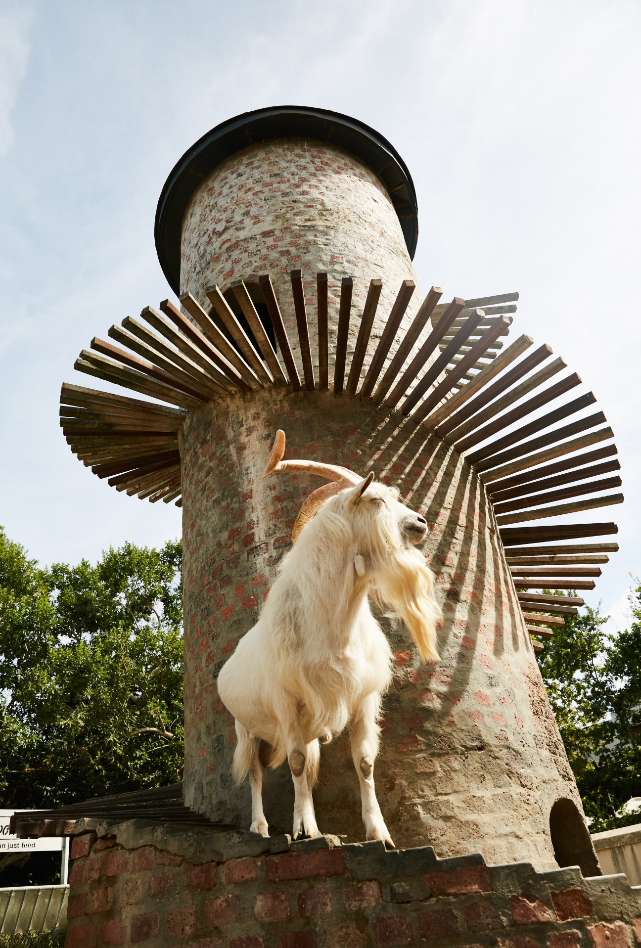 A white goat stands on a brick tower with wooden climbing slats spiraling around it.