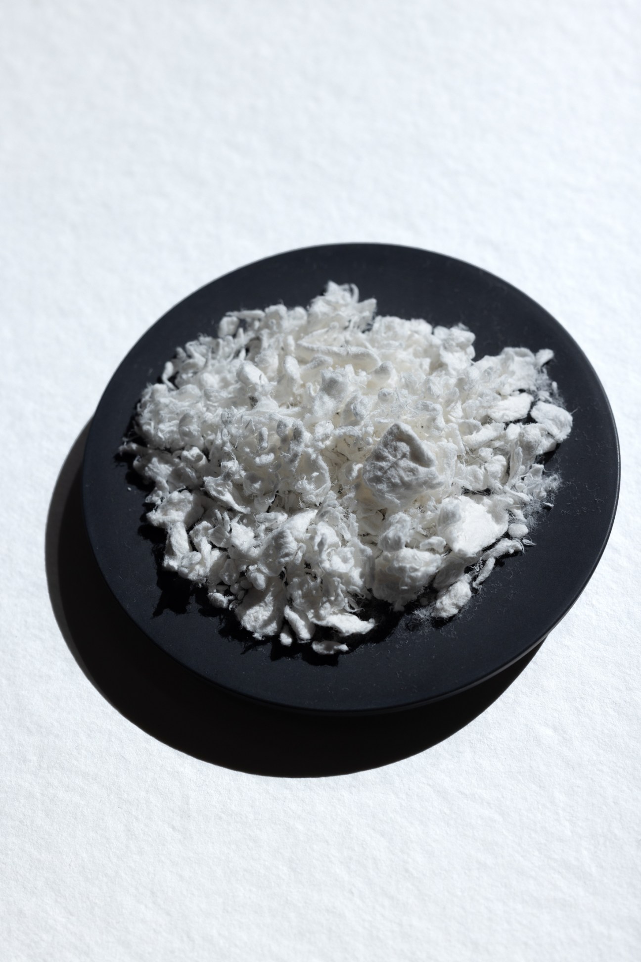 Close-up of white birch pulp material showing its fibrous texture