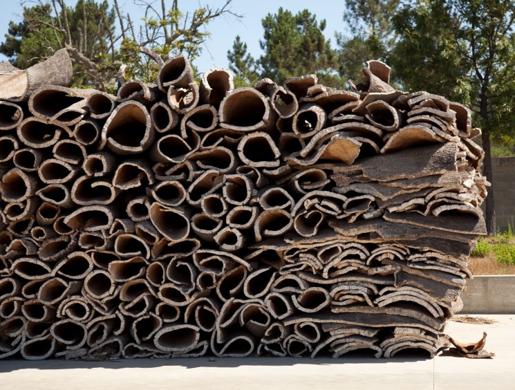 Bark drying in the sun