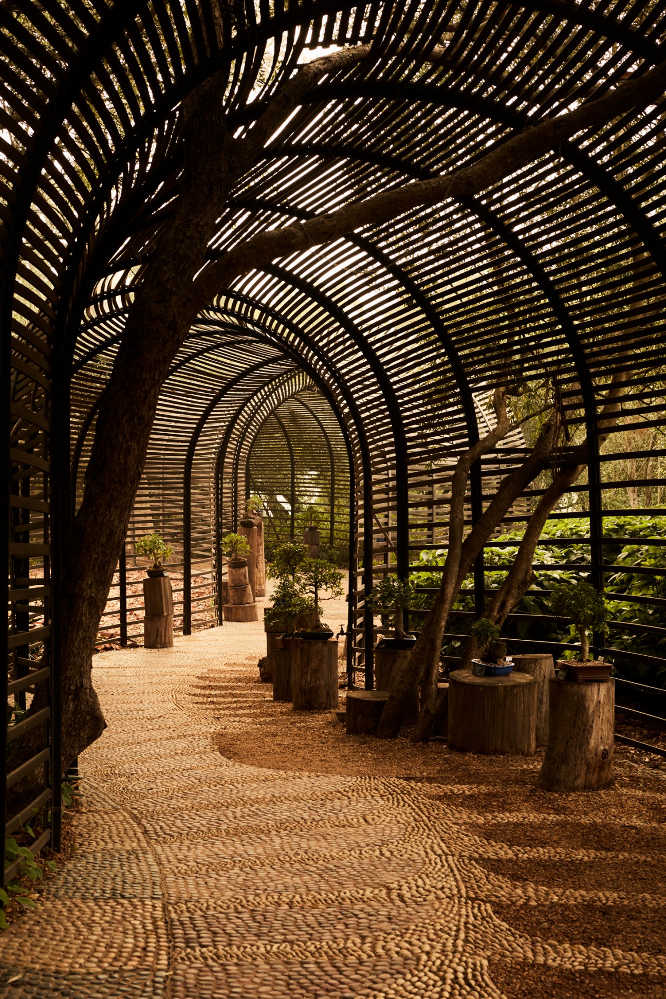 Babylonstoren garden path