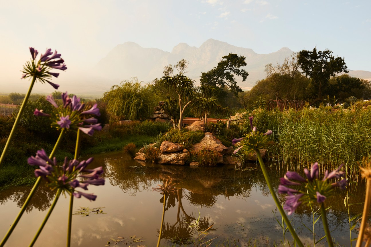 Lush landscape