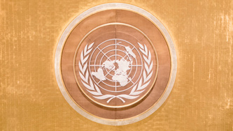 United Nations emblem with world map surrounded by olive branches on bronze circular background
