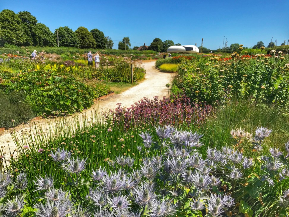 Diverse garden with winding path through colorful perennial plantings and ornamental grasses under blue sky