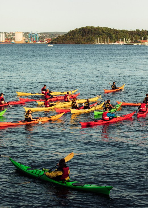 Group of kayakers in colorful kayaks gathered on water with forested hills and marina in background