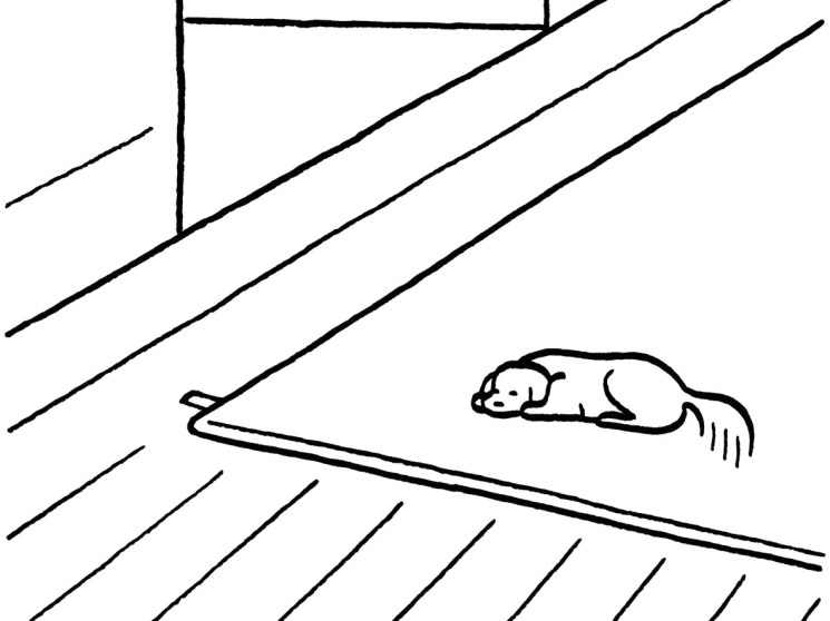 Line drawing of a dog resting on a slanted floor beneath a window with diagonal light rays