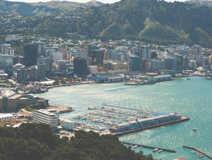 Wellington viewed from Mount Victoria Lookout