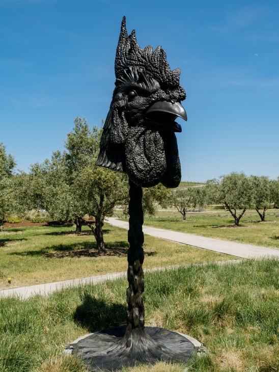 Allan Warburg walking among outdoor sculpture collection on his Sonoma County estate