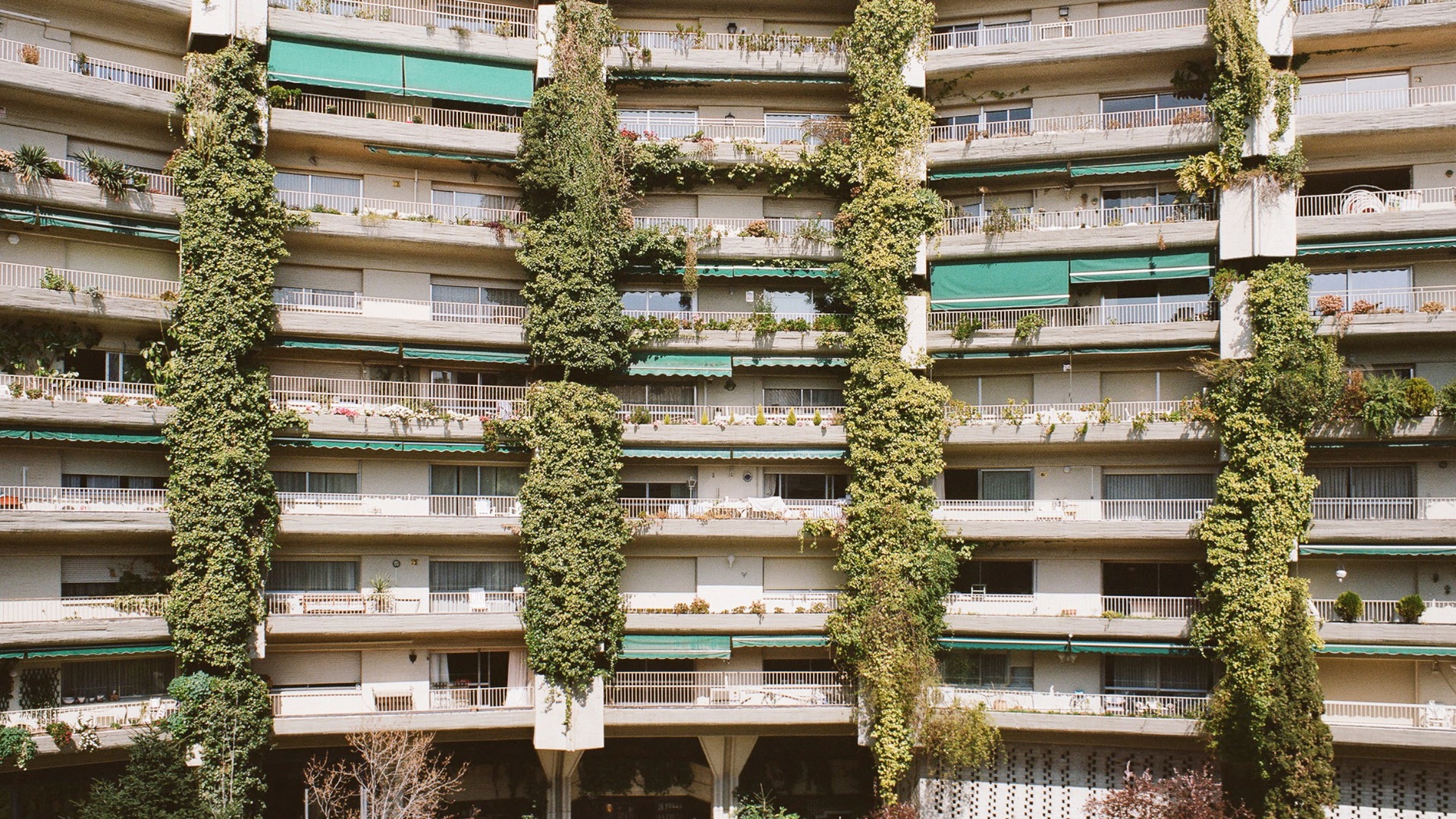 Balconies of Edificio Princesa.