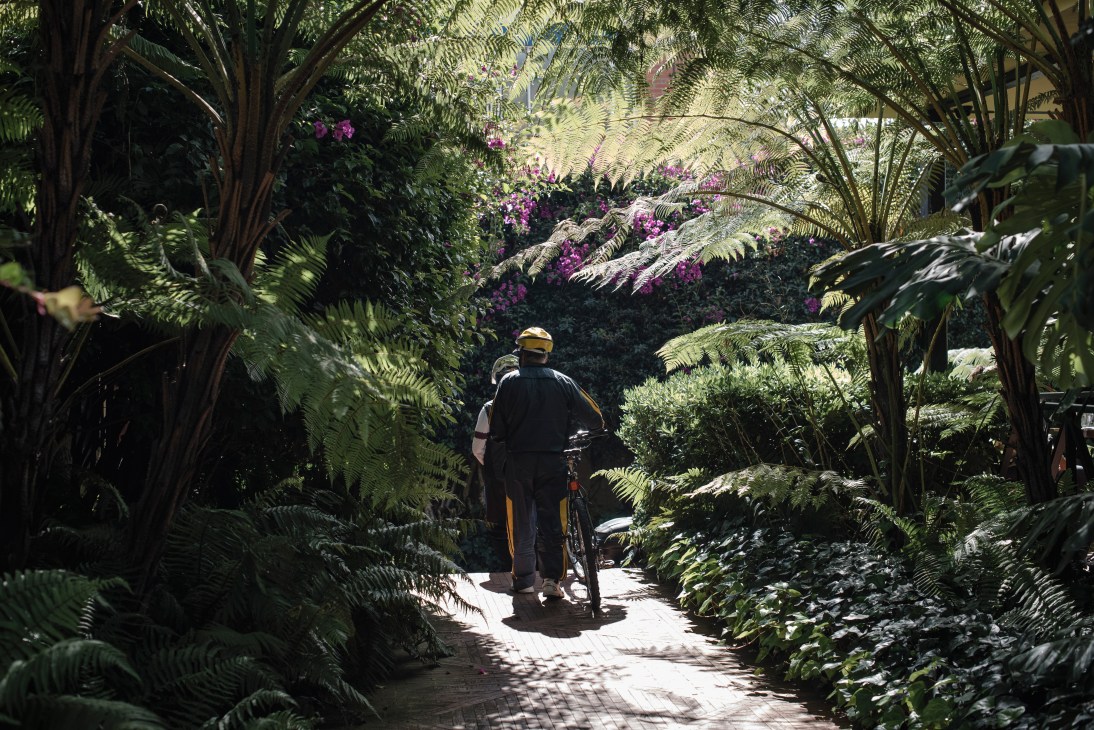 Cyclist riding through a lush garden tunnel with ferns and purple flowers at 7.16 restaurant in Usaquén, Bogotá.