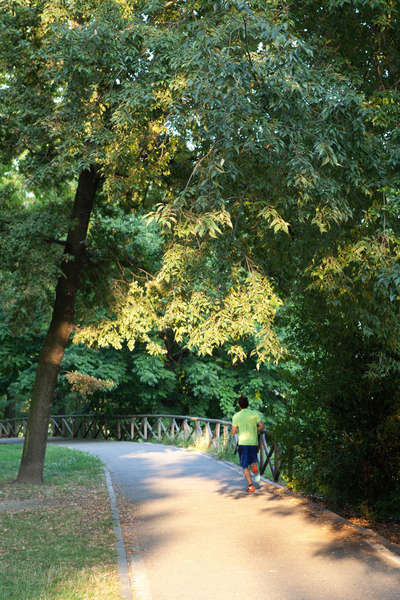 A jogger runs along a tree-lined path in Colleta Park, Turin, with dappled sunlight filtering through green foliage.