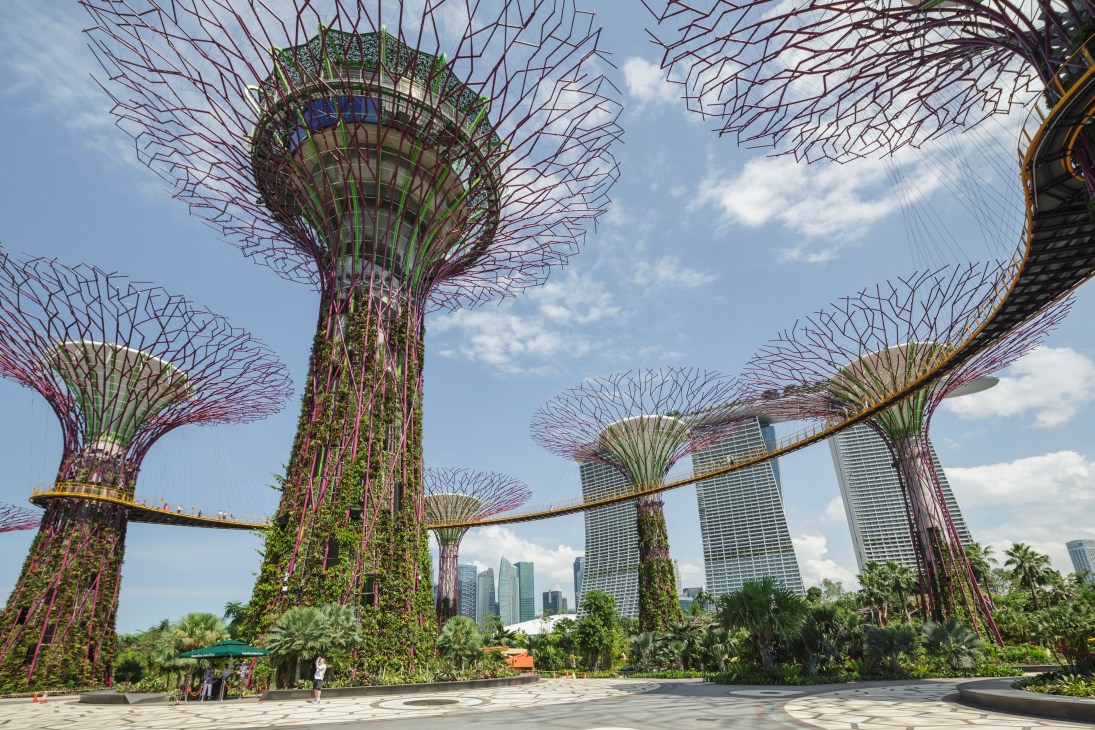 Giant vertical Supertree structures with branching canopy-like tops covered in plants and connected by a skyway, set against Singapore's skyline.
