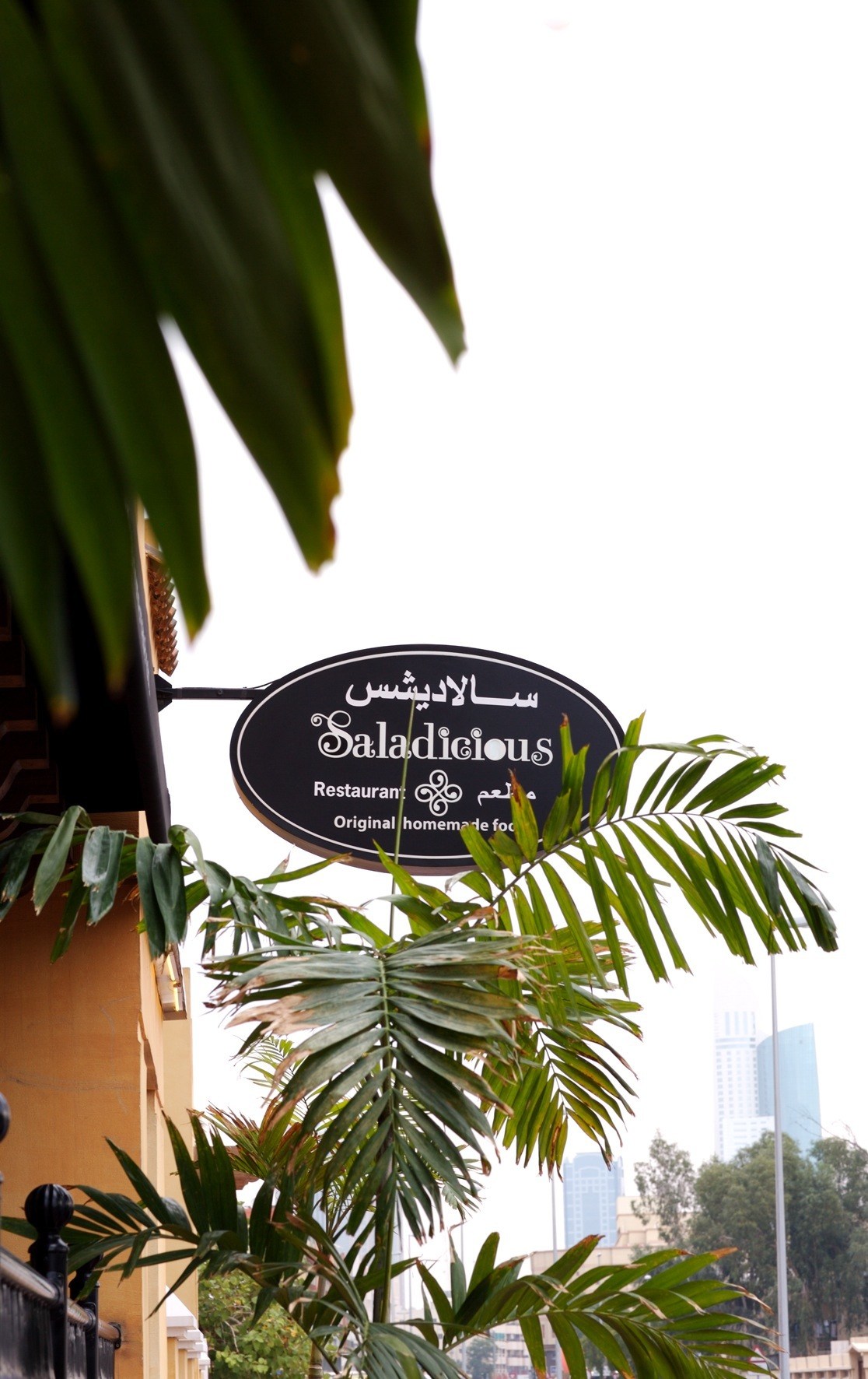 Saladicious restaurant sign with Arabic and English text surrounded by green palm fronds.