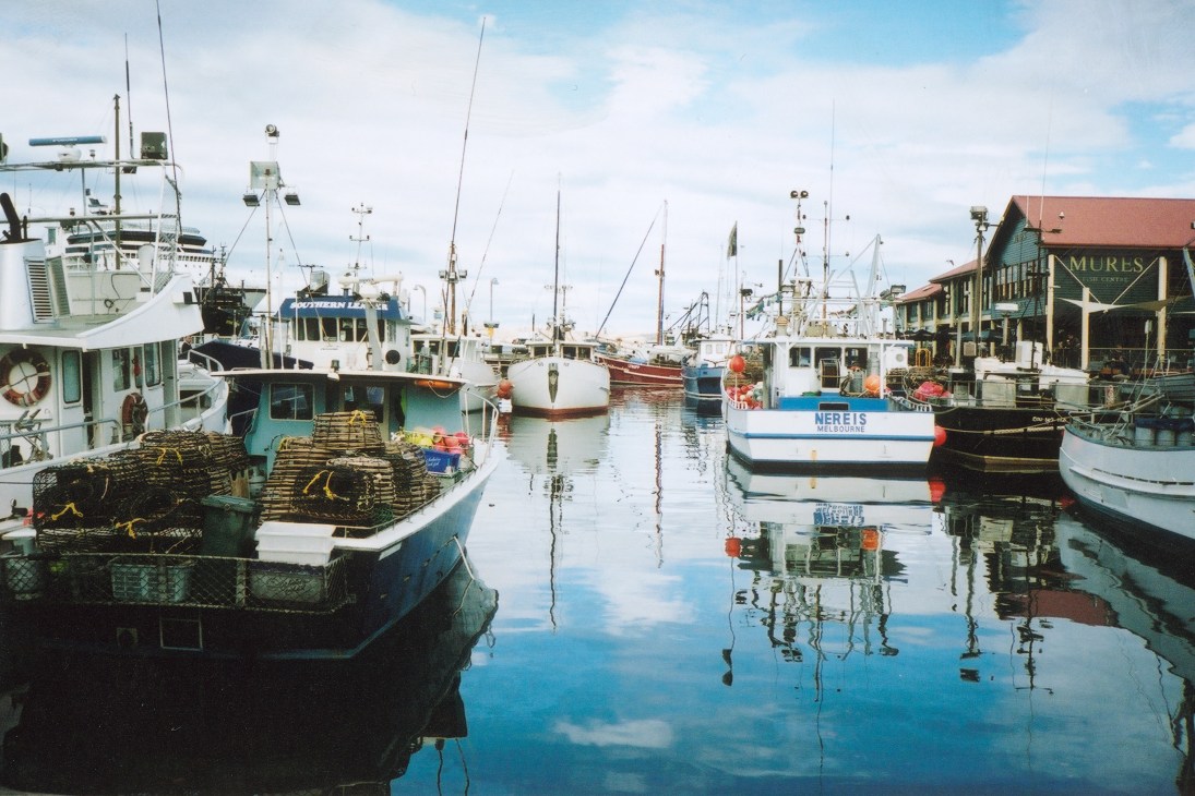 Fishing boats and sailing vessels moored at Hobart's port with historic waterfront buildings.