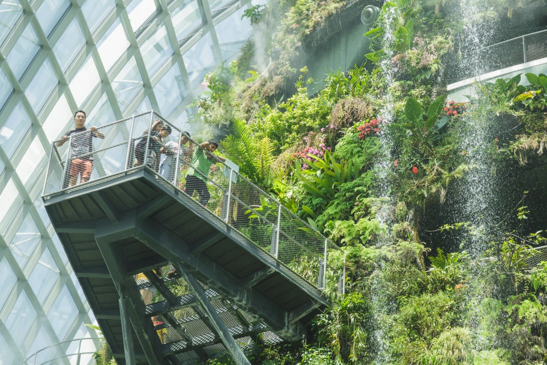 Visitors on a metal walkway inside Gardens by the Bay's tropical Cloud Forest biome surrounded by lush vegetation and a waterfall.