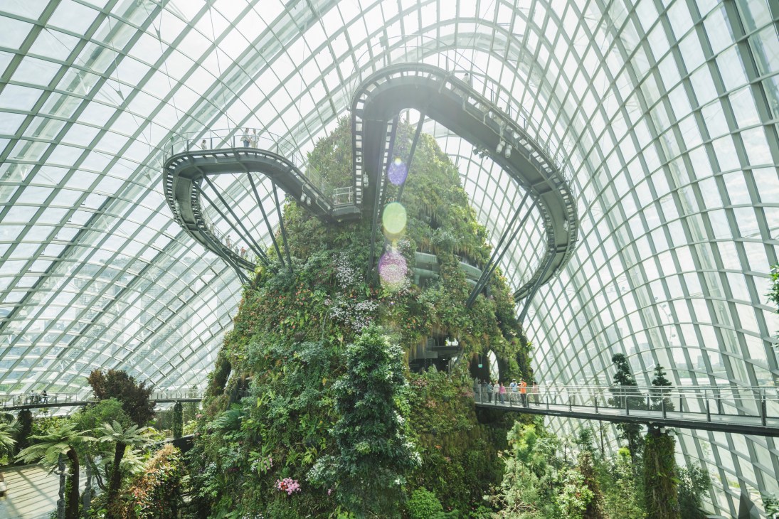Interior of Gardens by the Bay Cloud Forest biome with lush vegetation, a 30-metre waterfall, and curved metal structural supports under glass ceiling.