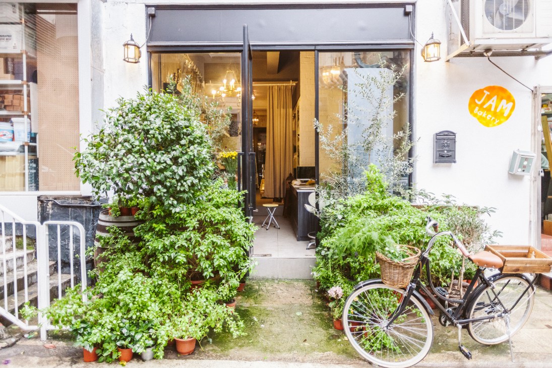 Storefront of JF Floral Couture with lush green plants in terracotta pots flanking the entrance and a bicycle parked outside.