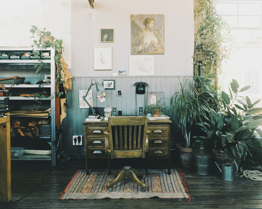 Wooden desk with drawers surrounded by potted plants, artwork on white walls, and shelving with items in a bright workspace.