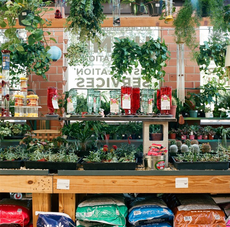 TreeHouse store display with hanging potted plants and sustainable home products on shelves against brick wall.