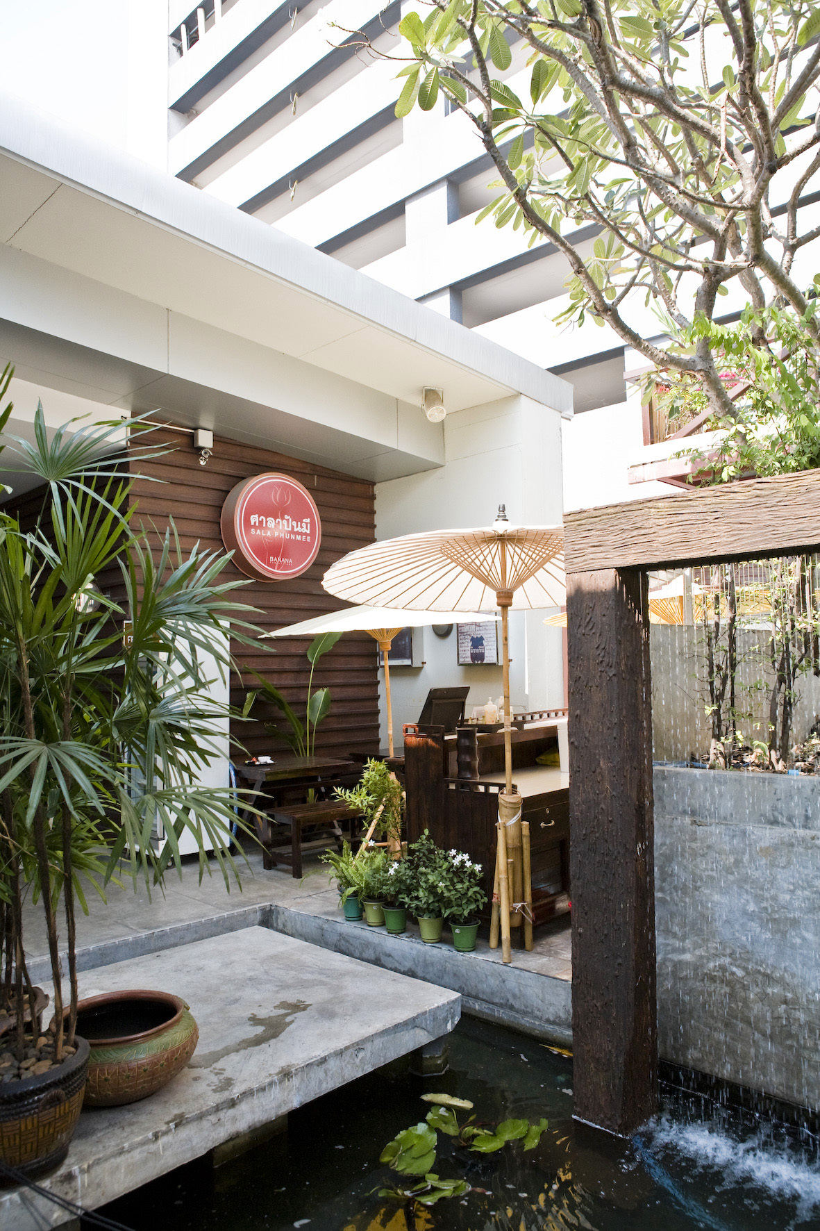 A corner of Banana Family Park showing a courtyard with plants, traditional umbrella, and modern building.