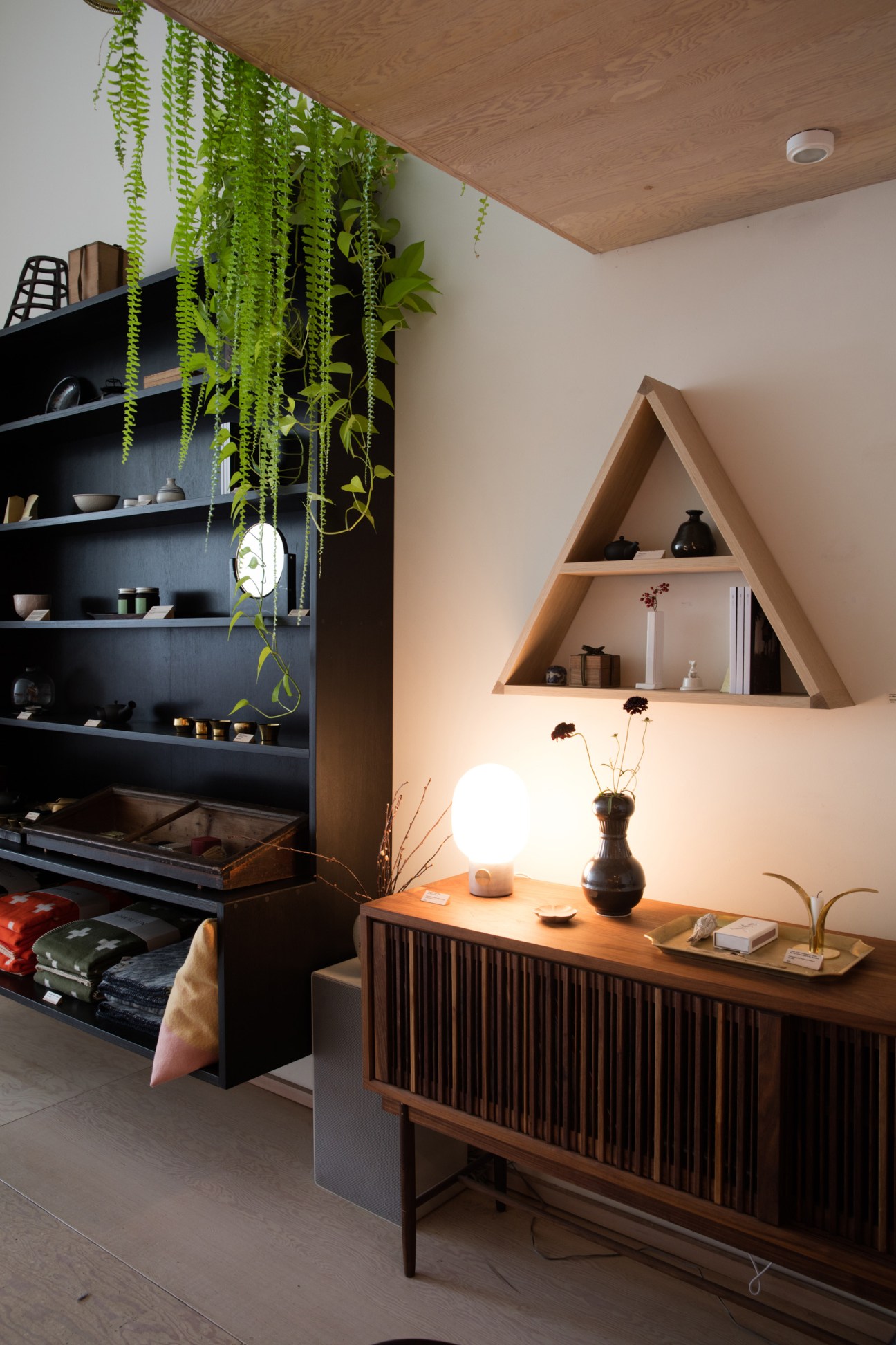 Modern interior design shop with dark shelving, hanging ferns, triangular wooden shelf, and mid-century credenza
