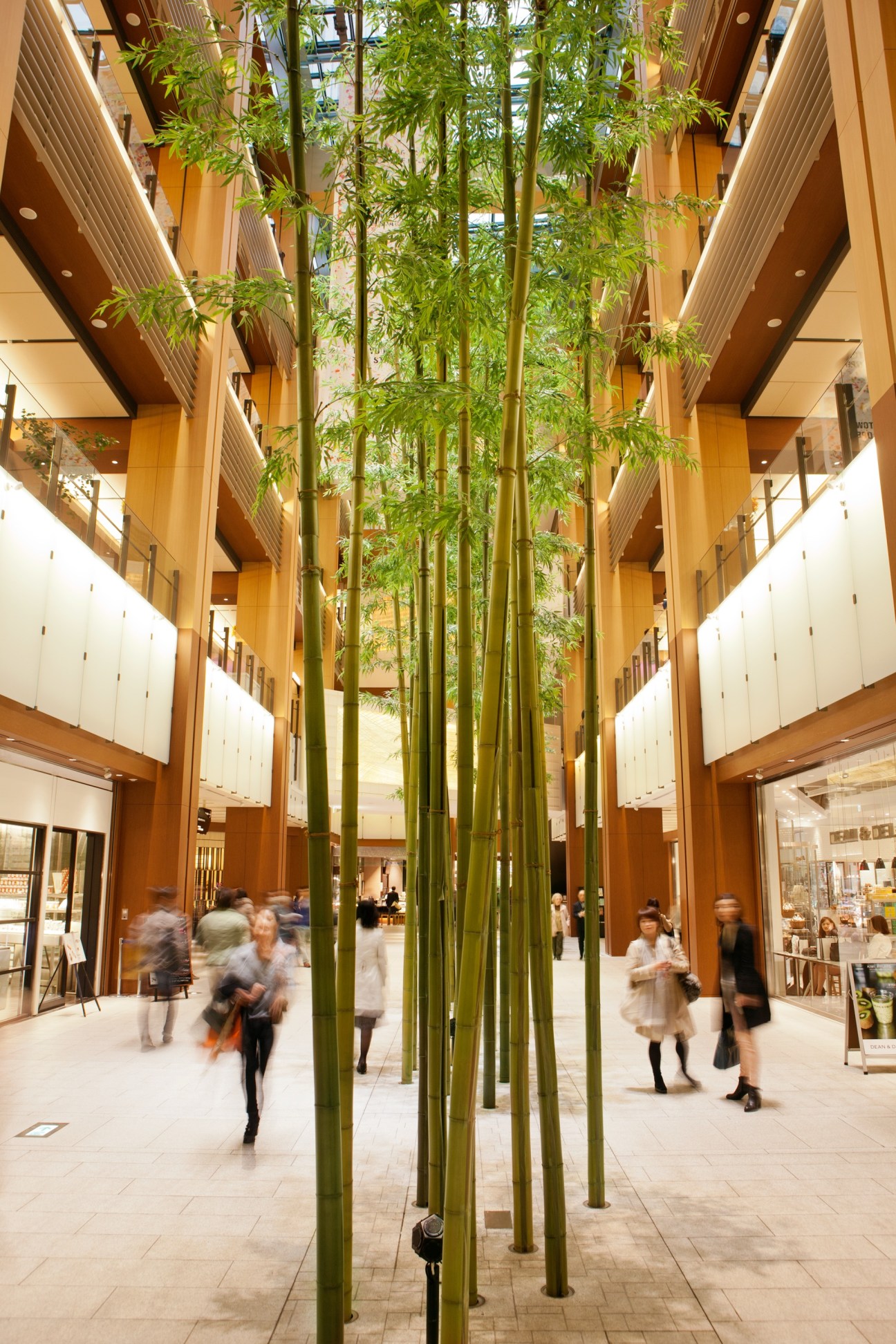 Tokyo Midtown's ground floor foyer with tall bamboo plants, warm wood paneling, and shoppers walking through the airy atrium space.