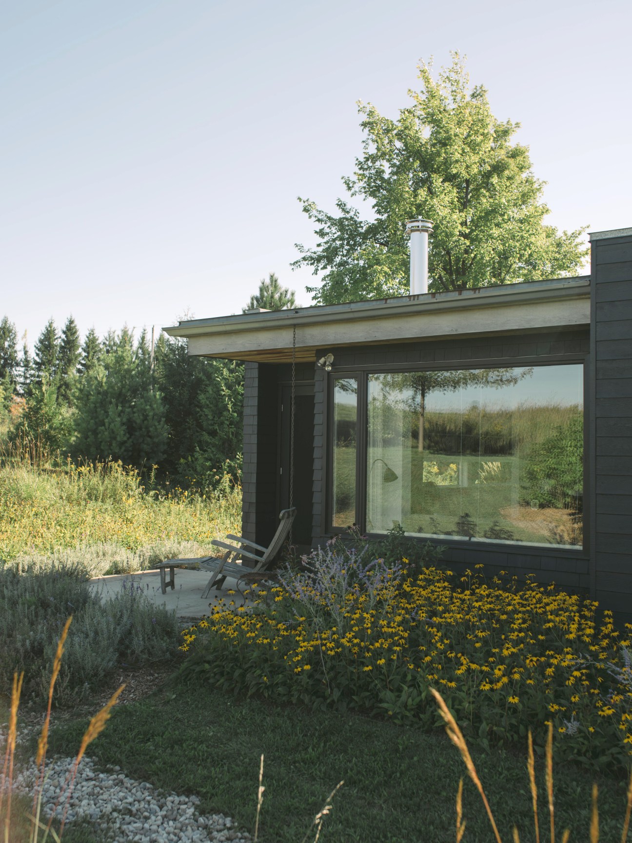 Modern house with large glass windows and dark exterior surrounded by wildflowers and native plants