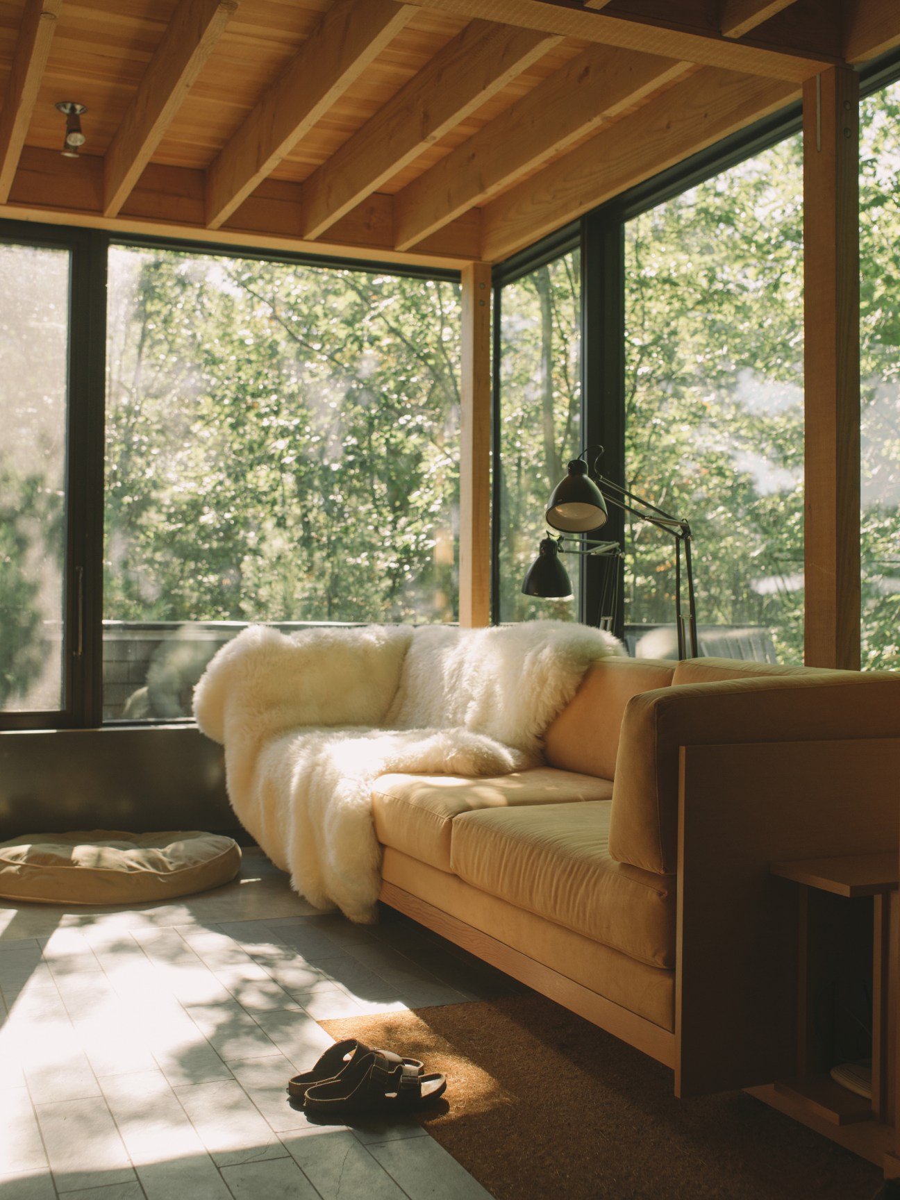 Warm interior living room with wooden ceiling beams, large windows overlooking trees, beige sofa with white throw blanket