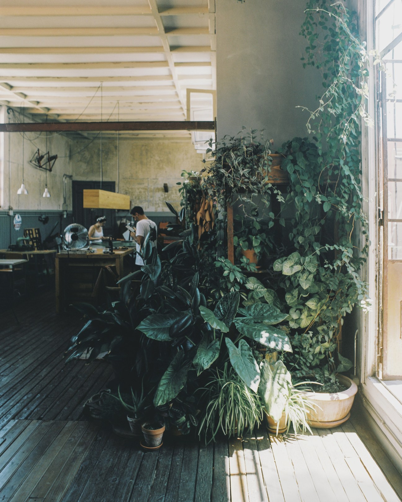Workshop interior with potted plants by large windows, wooden beams overhead, and two people working at tables in the background.