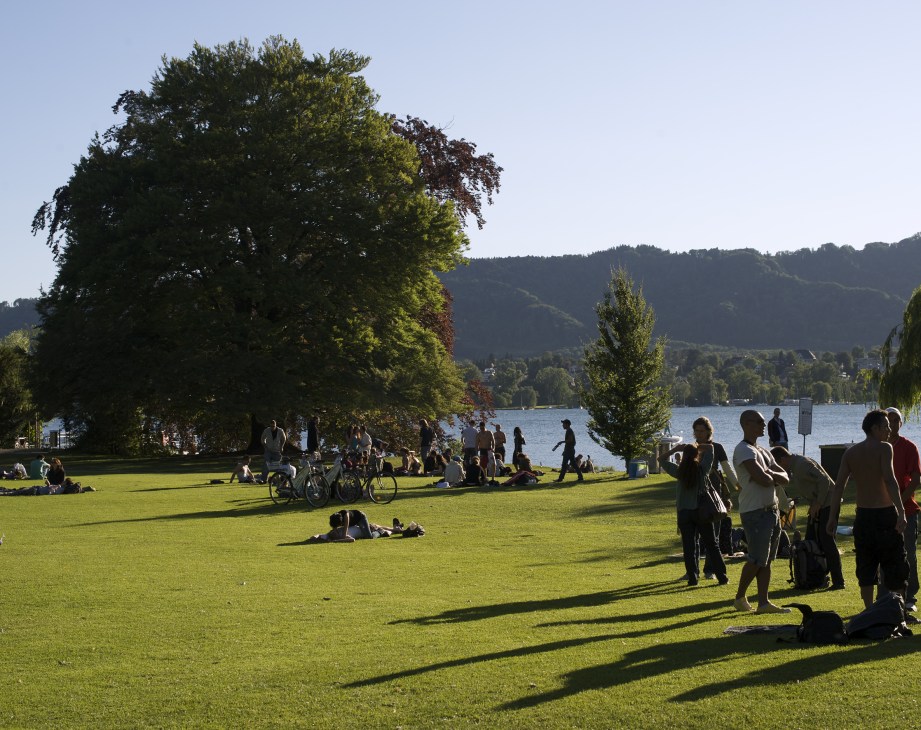 People relaxing on a sunny grass lawn by a lake with large trees and forested hills in the background.