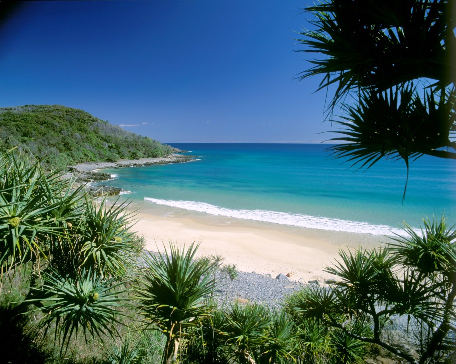 Tropical beach cove with turquoise water, white sand, and palm trees framing the shoreline.