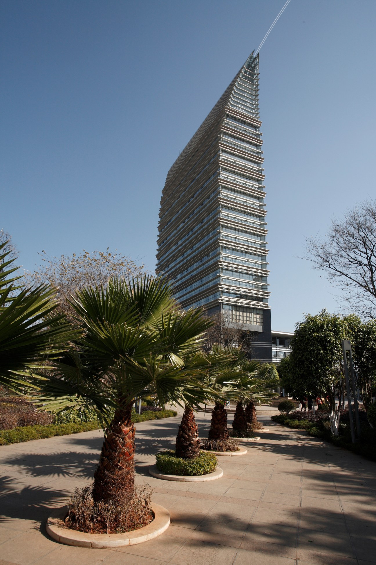 Modern residential tower with palm trees in landscaped plaza, clear blue sky above.