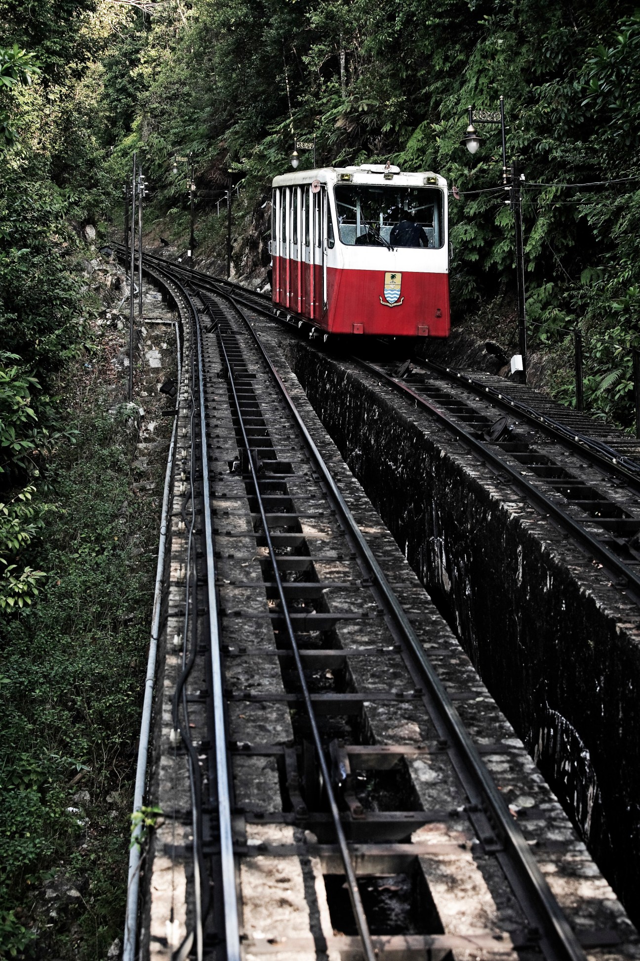 Red and white funicular railway car ascending through dense jungle on steep mountainside tracks.