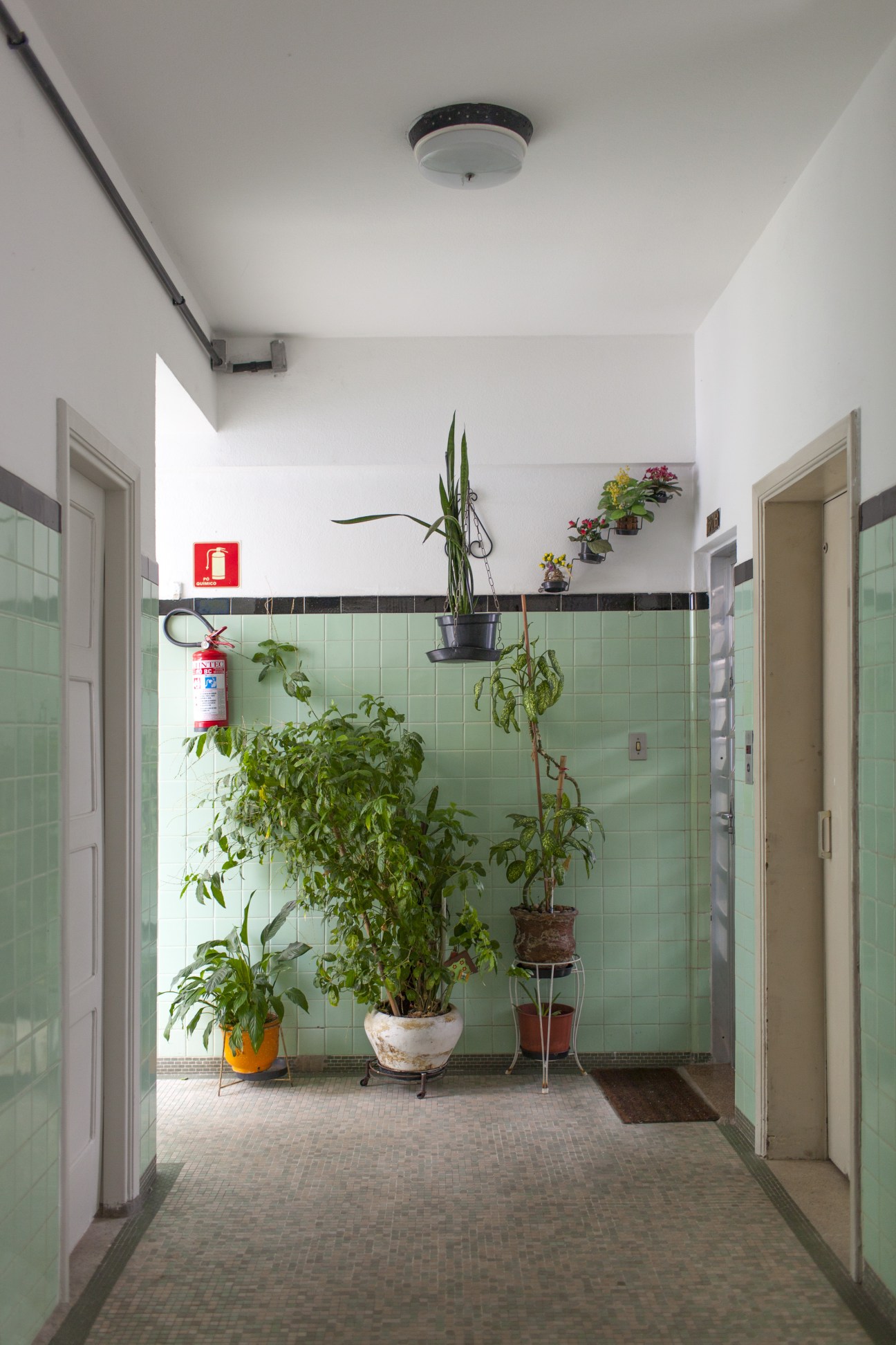 Service entrance corridor with mint-green tile walls and potted plants.
