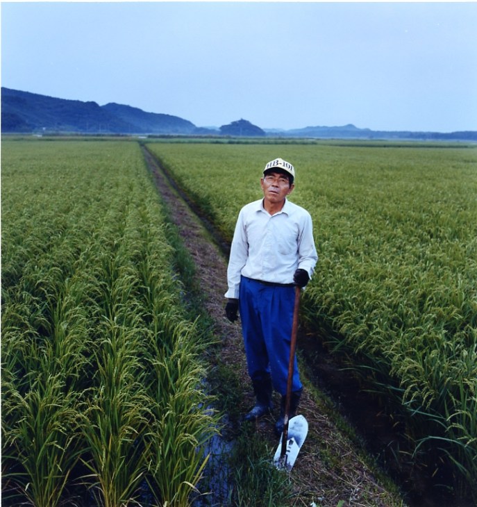 Rice farmer standing in a flooded rice paddy field on Tanegashima with mountains in the distance.