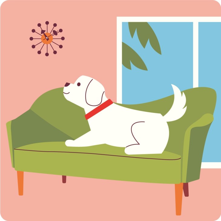 Illustration of a white dog relaxing on a green mid-century sofa with a red collar against a pink background.