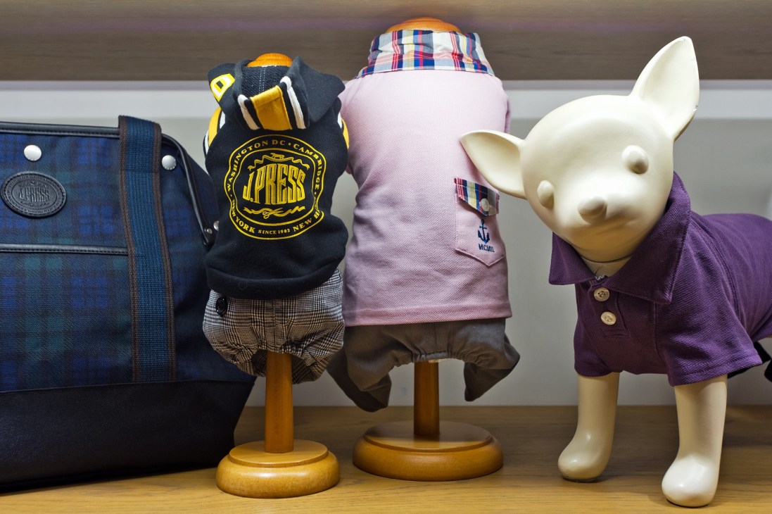 Display of small dog clothing and accessories including J Press jacket, pink hoodie, and purple shirt on mannequins at T-site retail location.