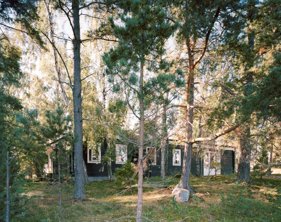 A 1960s single-storey house nestled among pine and birch trees on a Swedish archipelago island.