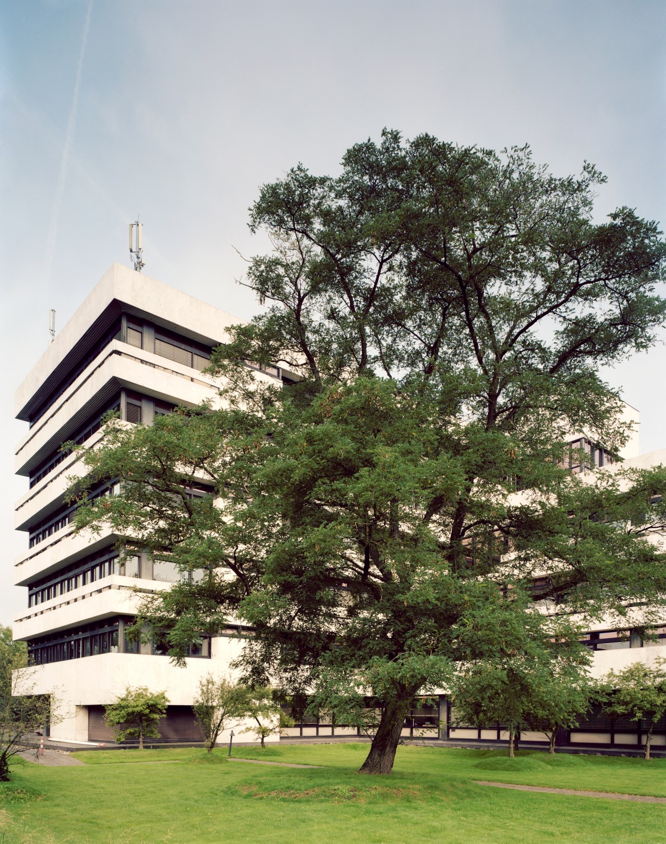 Modern multi-story building with horizontal bands of windows and dark trim set among green lawns and large trees.